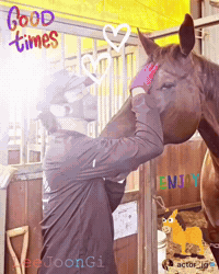 Horseback Riding Jg GIF