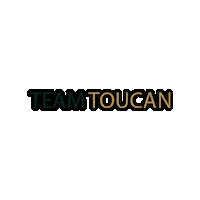 ValkSassenheimLeiden team teamwork vandervalk toekan Sticker