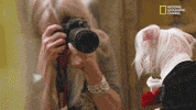 funny dogs GIF by Nat Geo Wild 