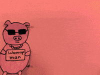 GIF by Kunstkwartier