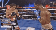 toprank boxing fighting champion espn GIF