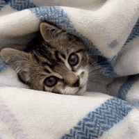 Miss U Love You GIF