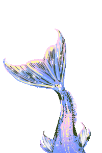 Rainbow Flower Sticker