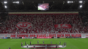 GIF by SCF