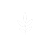 Ksupark Sticker