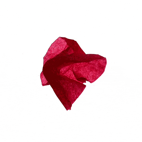 dfeijoostudio love amor iloveyou cor GIF