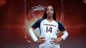 Uva Go Hoos GIF by Virginia Athletics