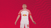 Oh Man Wow GIF by RB Leipzig