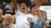 kccougars GIF by Kane County Cougars