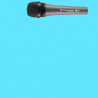 Mic Word GIF by Sennheiser