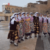 Dance Party GIF by TRT