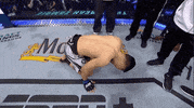 Sport Mma GIF by UFC