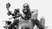 voting all star GIF by Charlotte Hornets