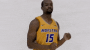 Basketball GIF by Hofstra Pride