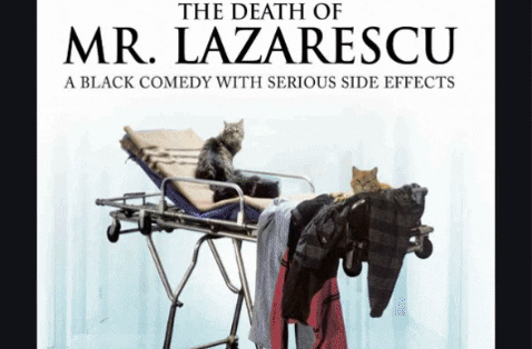 Sean_Kelly giphygifmaker GIF