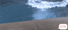 polar bear omg GIF by DTR