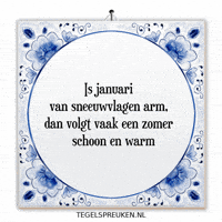 Humor Nl GIF by Tegelspreuken.nl