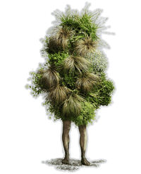 Nationalparkgarten Sticker by GLOBAL 2000