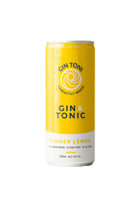 GinToniDrinks cheers festival drinks alcohol Sticker