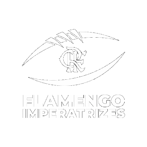 Football Futebol Americano Sticker by Flamengo Imperadores