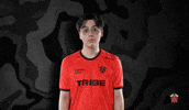 Well Done Yes GIF by Tribe Gaming