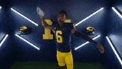 Go Blue College Football GIF by Michigan Athletics
