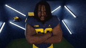 Go Blue College Football GIF by Michigan Athletics