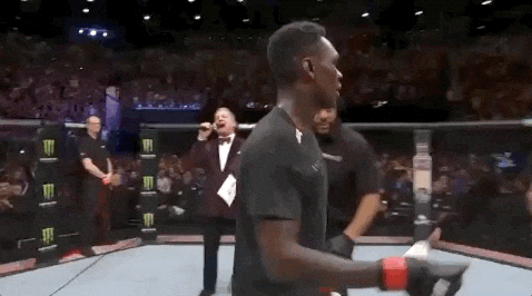 ufc fight night sport GIF by UFC