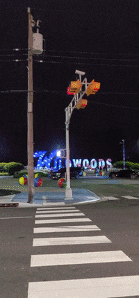 Happy New Jersey GIF by No Cheese Records