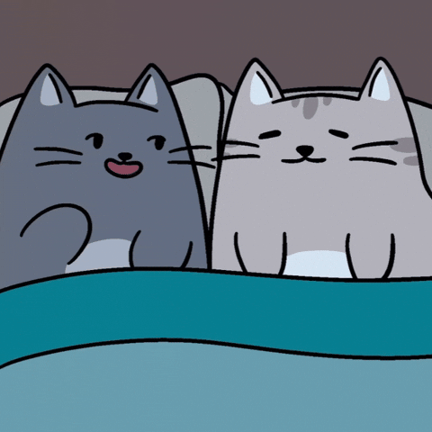 Middle Of The Night Processing GIF by MESA My Emotional Support Animal