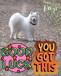 Luck Success GIF
