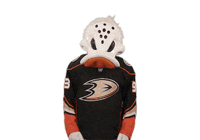 Ice Hockey Sticker by NHL