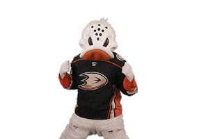 Ice Hockey Sticker by NHL