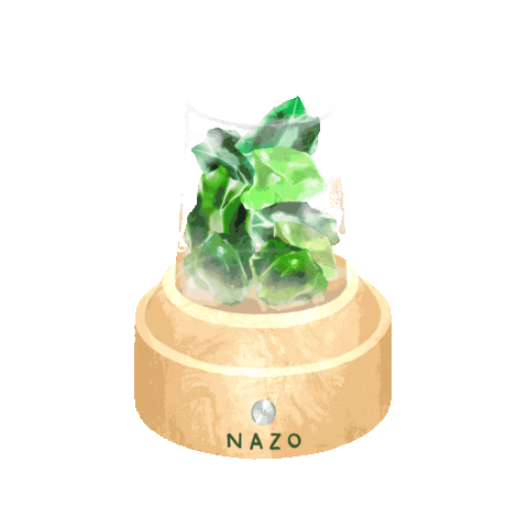 nazofragrance giphyupload nazo Sticker