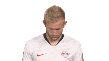 Happy Red Bulls Sticker by Bundesliga