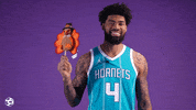 Basketball Celebrate GIF by Charlotte Hornets
