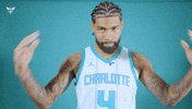 Hive Mentality Nick Richards GIF by Charlotte Hornets