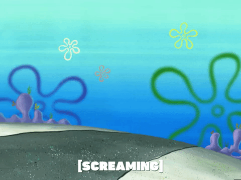 season 4 GIF by SpongeBob SquarePants