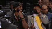 lebron james lol GIF by NBA