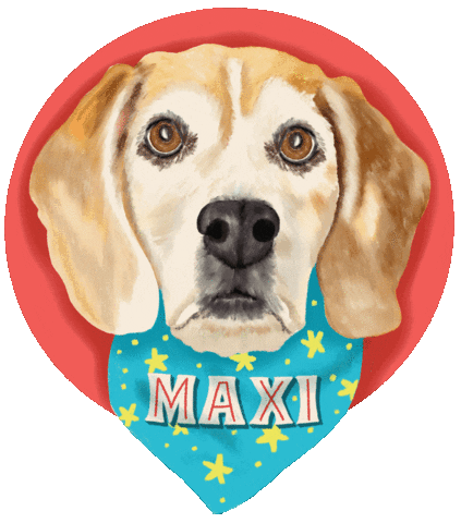 Dog Lettering Sticker by cebrazul