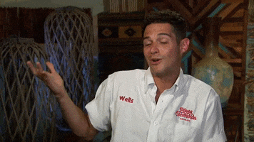 Confused Bartender GIF by Bachelor in Paradise