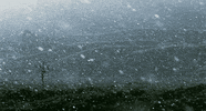 Video gif. Heavy snow falls down onto a hilly landscape. A single tree populates the area. It’s small and leafless. 