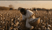 Music Video Wisdom GIF by Catāli