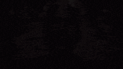 GIF by Cannes Lions