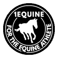 1Equine horse horse racing equine 1e Sticker