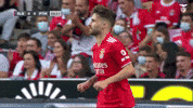 Sl Benfica Thumbs Up GIF by Sport Lisboa e Benfica