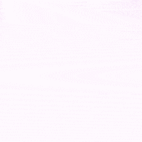 Beach Volleyball GIF by LSU Tigers