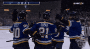 ice hockey sport GIF by NHL