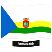 Las Palmas Bandera Sticker by Formación Ninja
