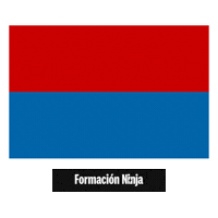 Las Palmas Flag Sticker by Formación Ninja